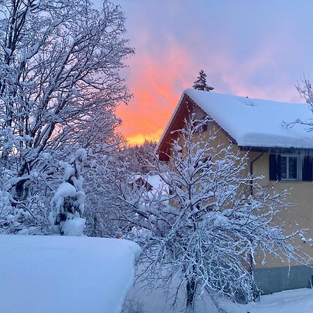 Ferienwohnung Haus Am Bach In Toggenburg Вильдхаус Экстерьер фото