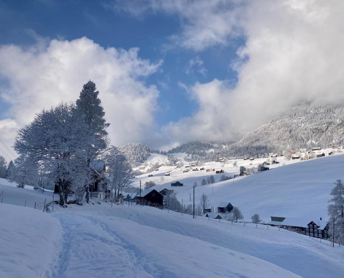 Ferienwohnung Haus Am Bach In Toggenburg Вильдхаус Экстерьер фото