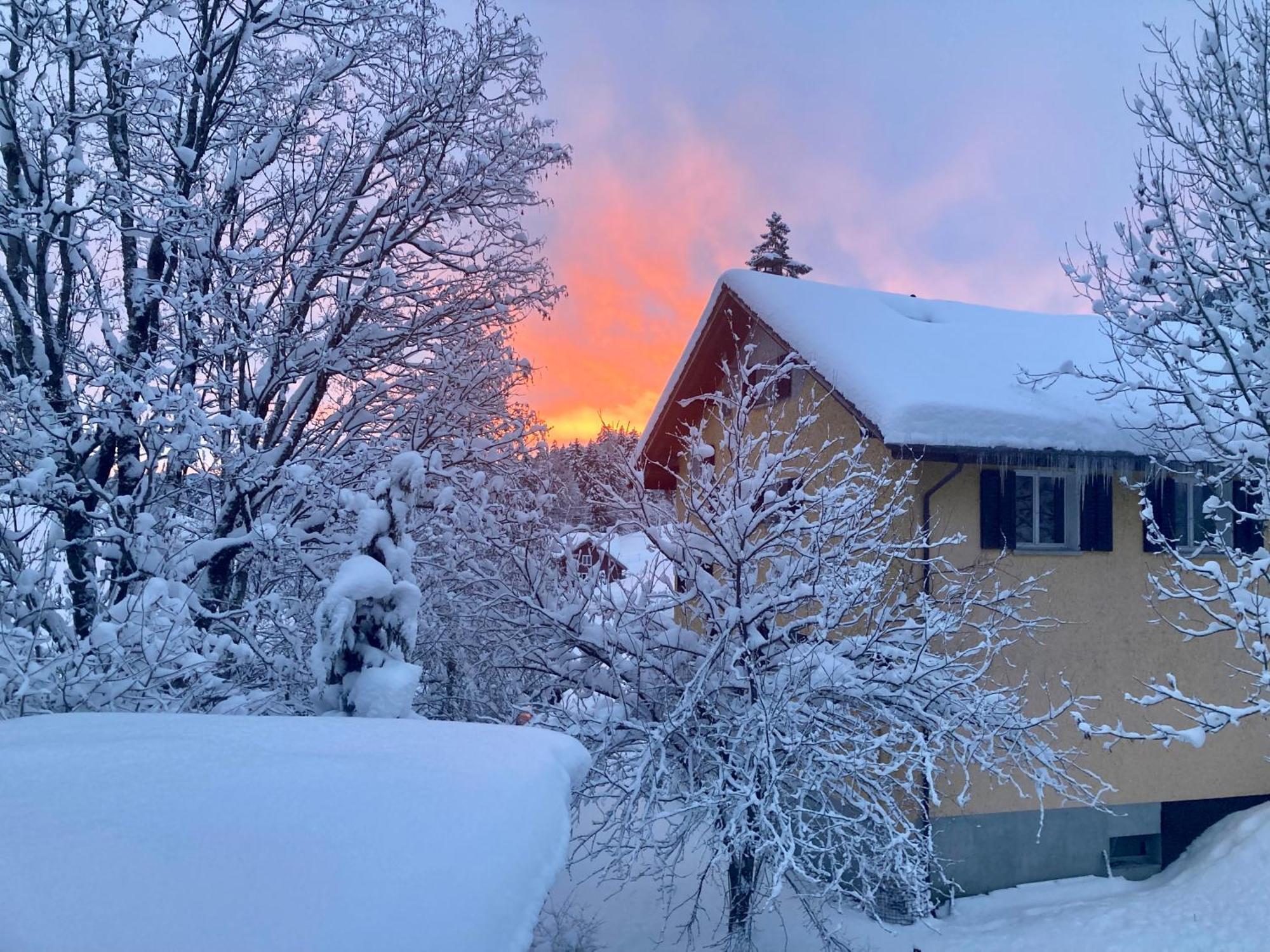 Ferienwohnung Haus Am Bach In Toggenburg Вильдхаус Экстерьер фото