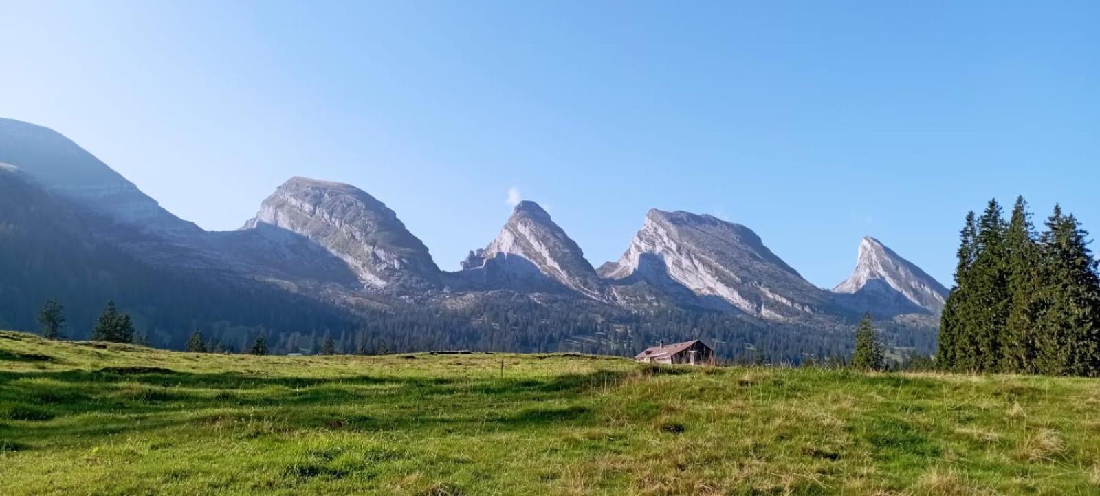 Ferienwohnung Haus Am Bach In Toggenburg Вильдхаус Экстерьер фото