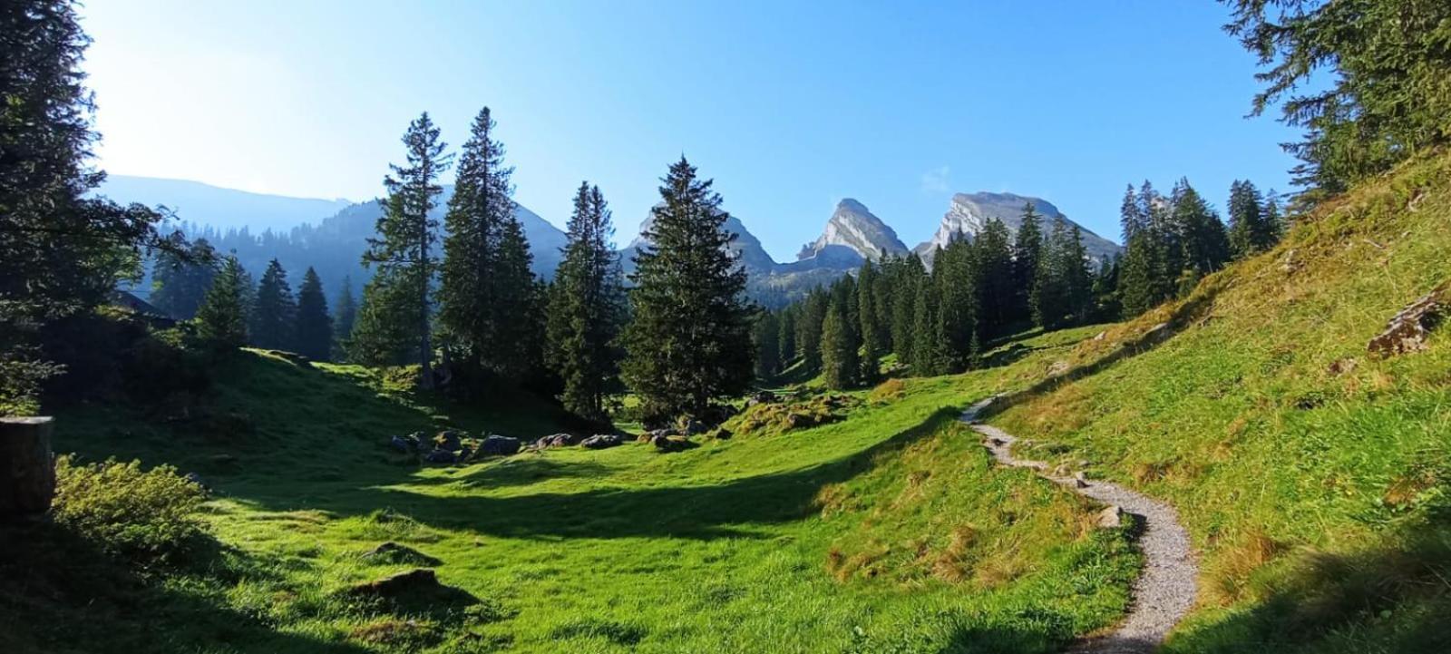 Ferienwohnung Haus Am Bach In Toggenburg Вильдхаус Экстерьер фото